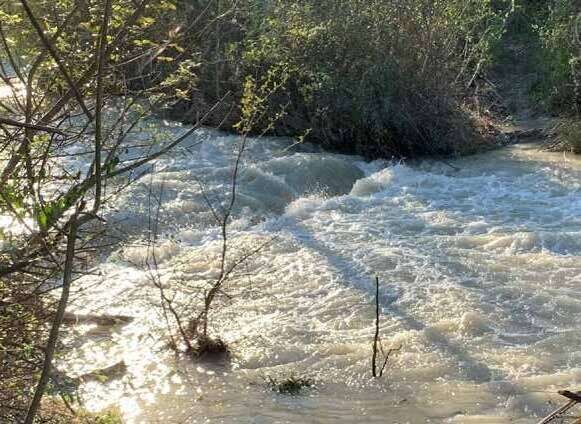 Acqua che ridi e muggi